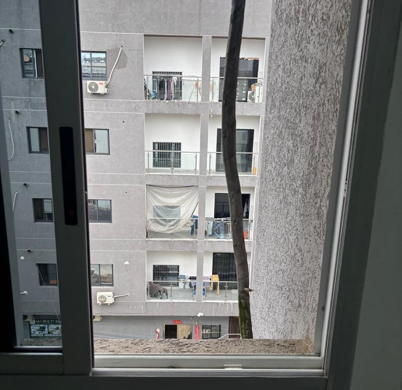810