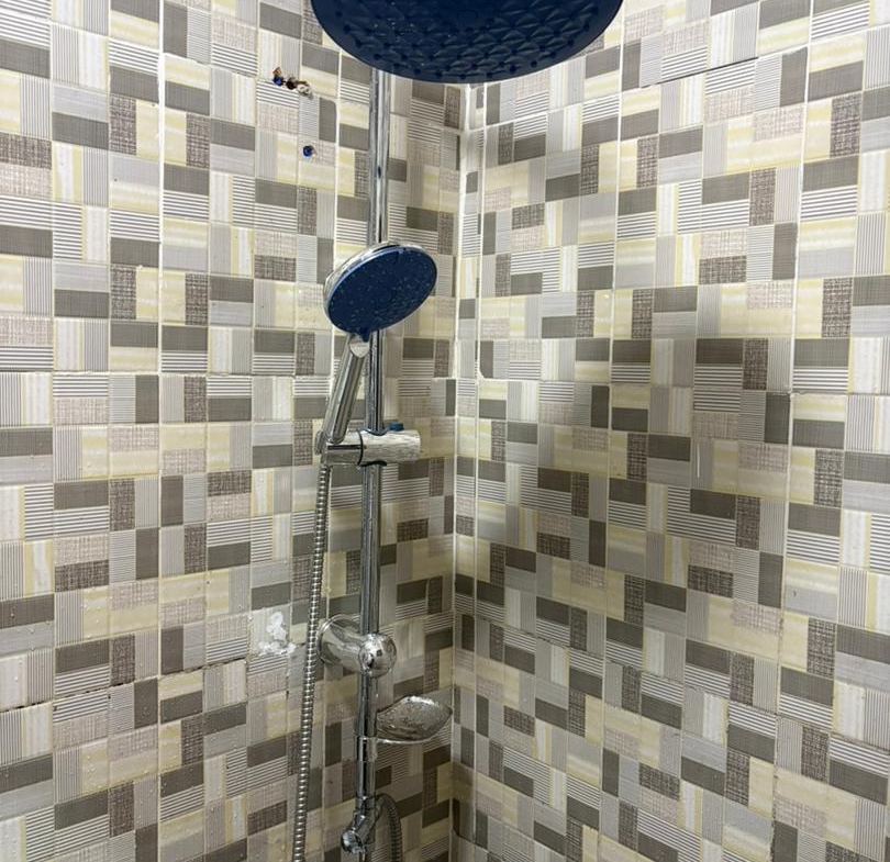 810
